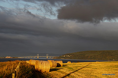 Kessock Bridge in dawn light with Barley bales 3949978427 o