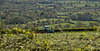 Mowing in Dorset