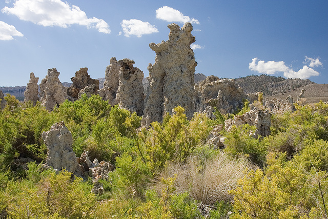 Tufa Towers