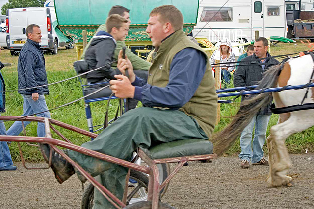Horse carts at Appleby