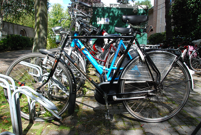 Gazelle Tour Populair bicycle