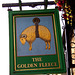 'The Golden Fleece'