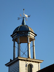 mark hall stables, harlow