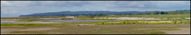 Rye Harbour LNR