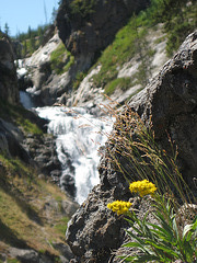 Mystic Falls, Little Firehole River, Yellowstone National Park