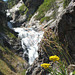 Mystic Falls, Little Firehole River, Yellowstone National Park