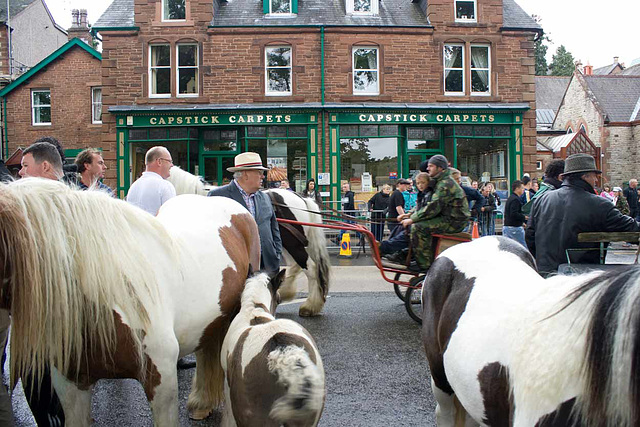 Horses in the town