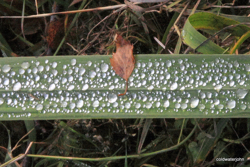 After the rain 5086507910 o