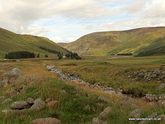 Scottish Highlands