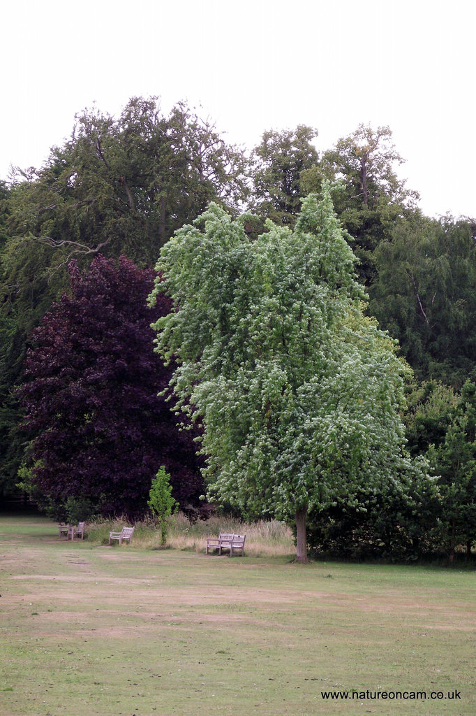 Yorkshire Sculpture Park