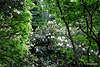 Blackhills Estate Visit May 23 2010