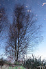 Reflections on the surface (inverted) 5145795841 o