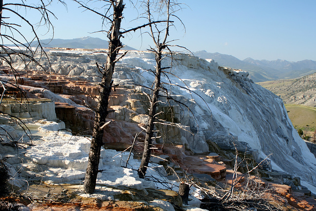 Canary Springs, Mammoth Hot Springs area, Yellowstone National Park.