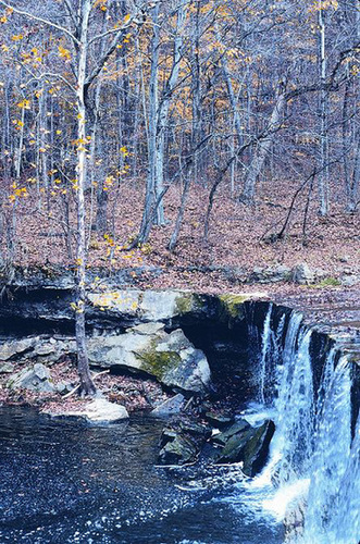 Anderson Falls