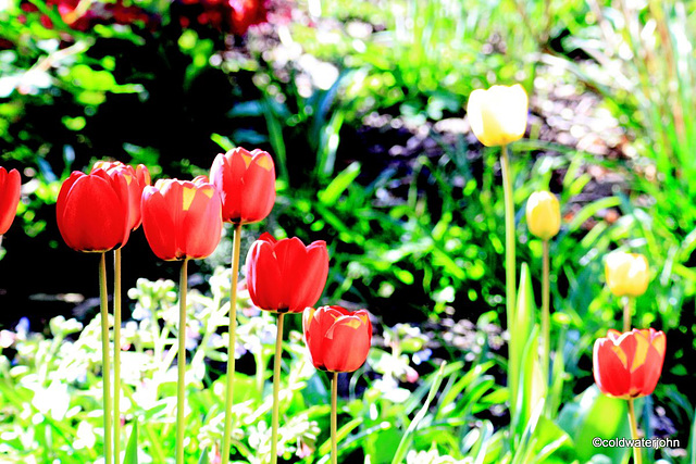 Sunny Spring Sunday Morning