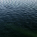 disturbance