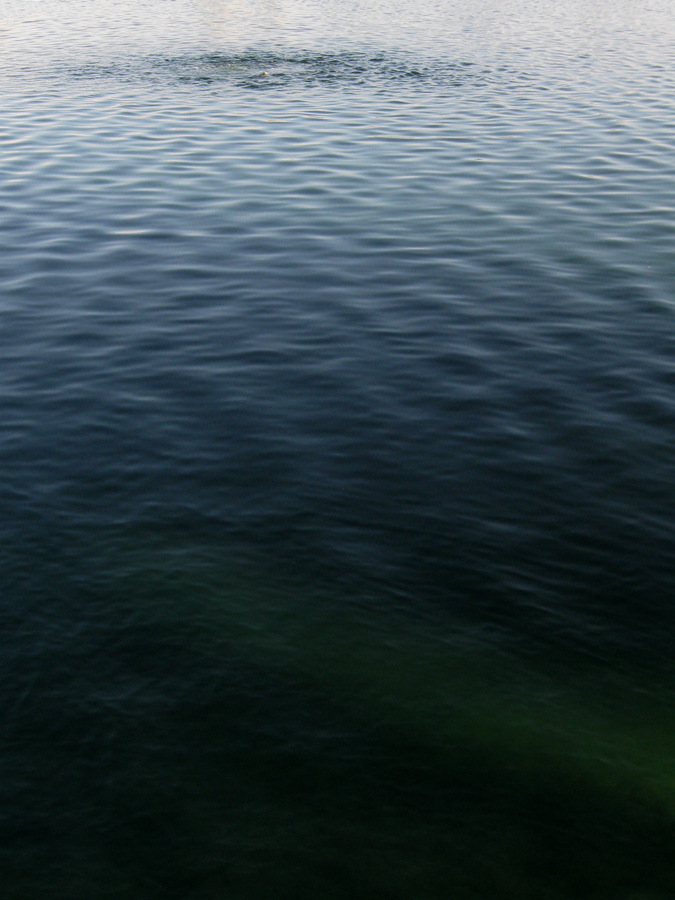 disturbance