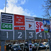 Local elections in Leiden