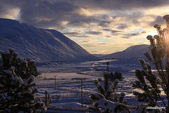 Dalnaspidal - winter scene