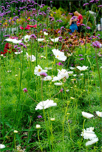 Matthaei Botanical Gardens