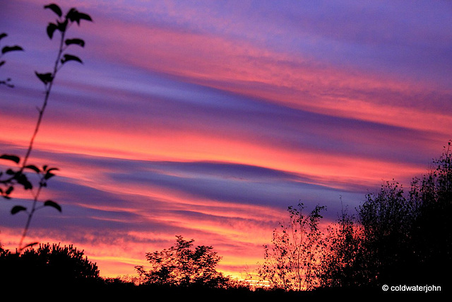 Thursday evening skies