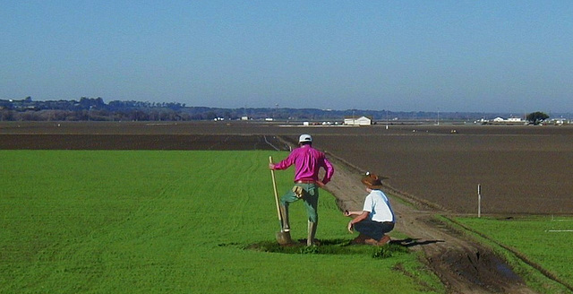 18 Foot Tall Salinas Farm Hands