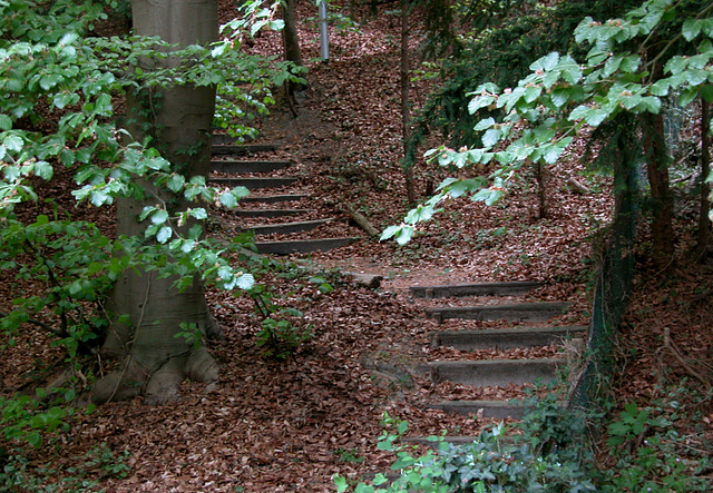 Stairs in Bloemendaal