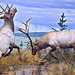 Rocky Mountain Elk Diorama – Carnegie Museum of Natural History, Pittsburgh, Pennsylvania