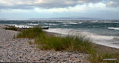 Gale Force Winds on the Moray Firth at Findhorn #7 3976867131 o