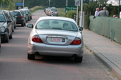 Jaguar with a corresponding plate