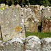 east peckham old church, st. michael