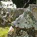 east peckham old church, st. michael