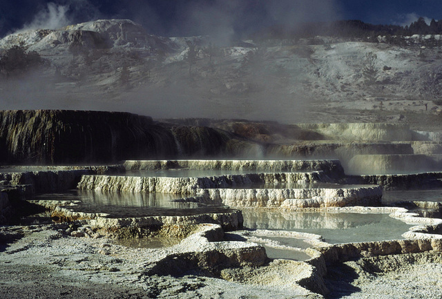 Opal Terraces, Yellowstone National Park