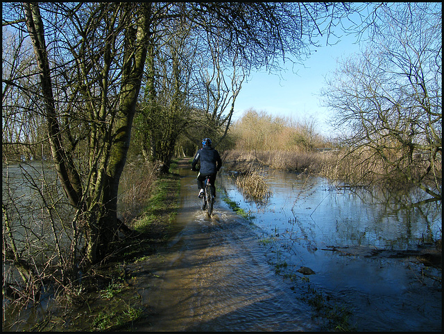 river causeway