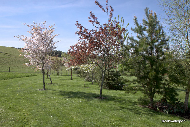 Sunny Spring Sunday Morning Sunny Spring Sunday Morning