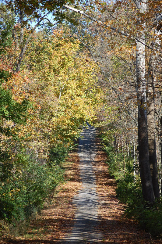 Road Lesser Traveled By