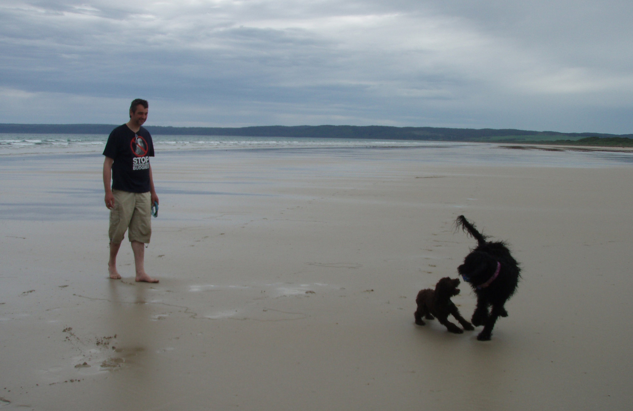 Coco's first visit to the beach