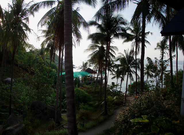 Coral View GH - view from our bungalow