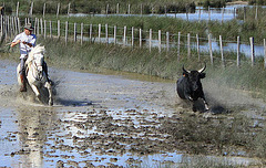 Riding through water