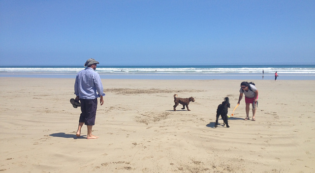 afternoon at Waratah Bay