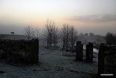 Misty evening by the pond