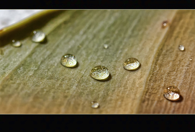 March of the Droplets