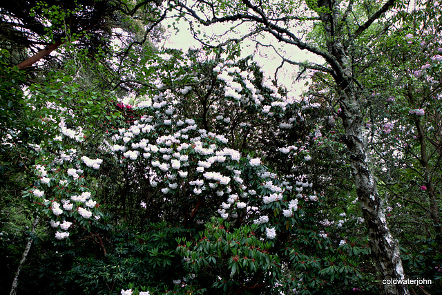 Blackhills Estate Visit May 23 2010