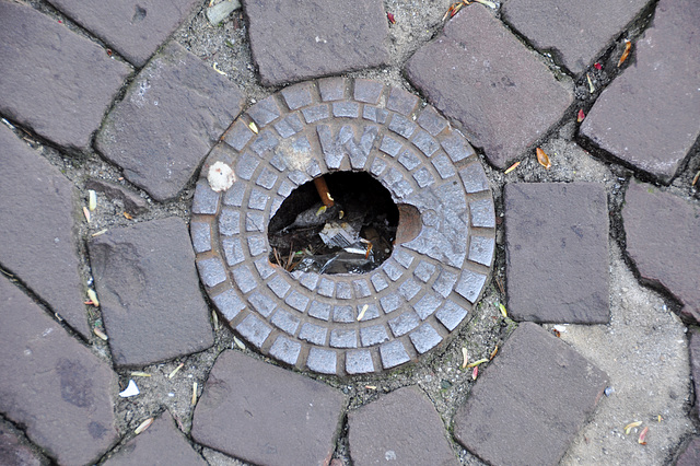 Broken waterworks access point