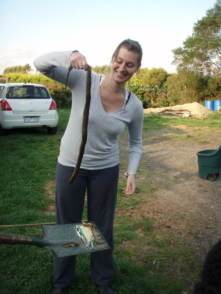 Emilie & the tiger snake