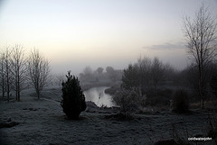 Foggy day by the pond 4025710304 o