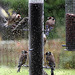 Goldfinches feeding in the rain 5157665715 o