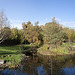Pond pans on a sunny autumn afternoon