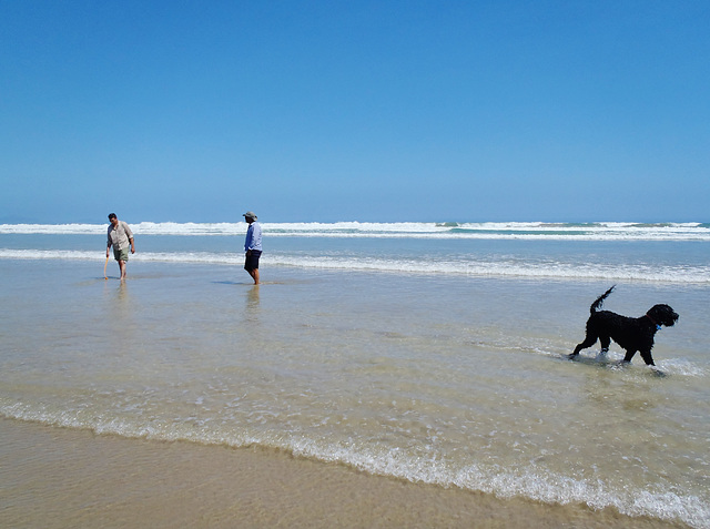 Ad & Eyawn at Waratah Bay