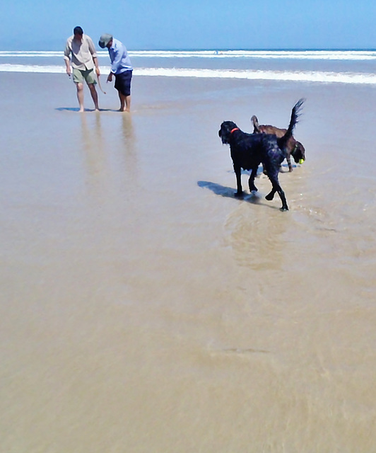 Ad & Eyawn at Waratah Bay